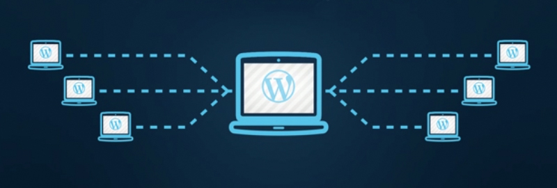 25 Must-Have Plugins for WordPress Multisite Networks
