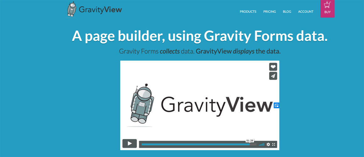 GravityView Review - What Is It? What Does It Do? Worth Buying? (2020)
