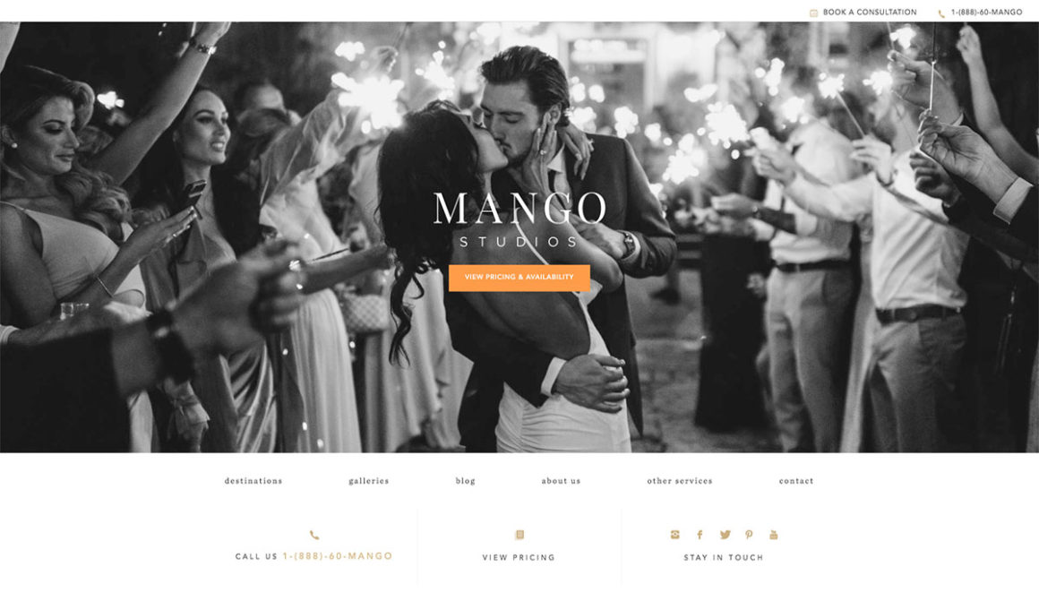 19 Excellent Wedding Photography Websites To Look Into 2020 - Colorlib