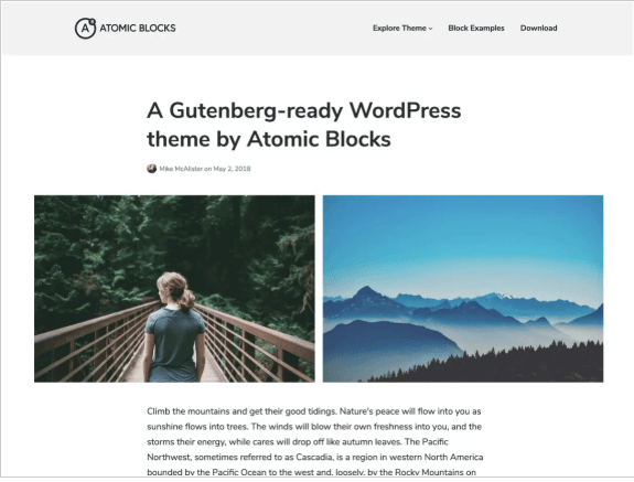 A Review of Atomic Blocks: Gutenberg WordPress Block Collection Plugin