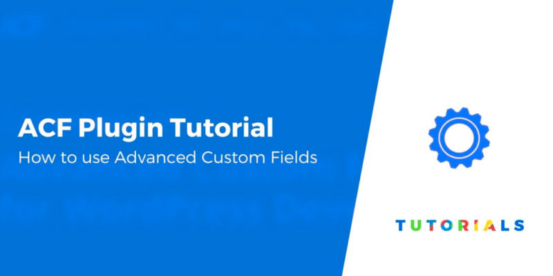Advanced Custom Fields Tutorial for Beginners: Create and Display Fields