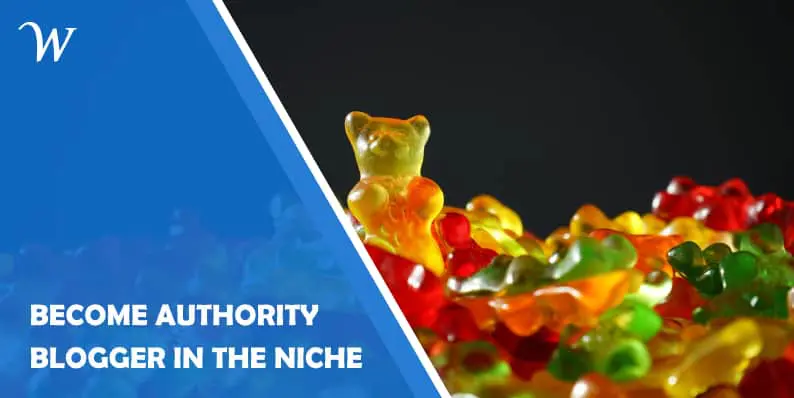 Become authority Blogger in the niche