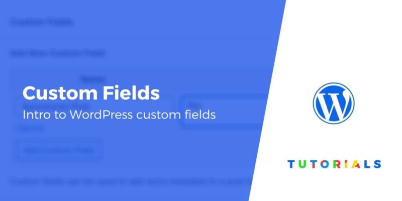 Beginner's Guide to Custom Fields in WordPress: Explanation + Tutorial