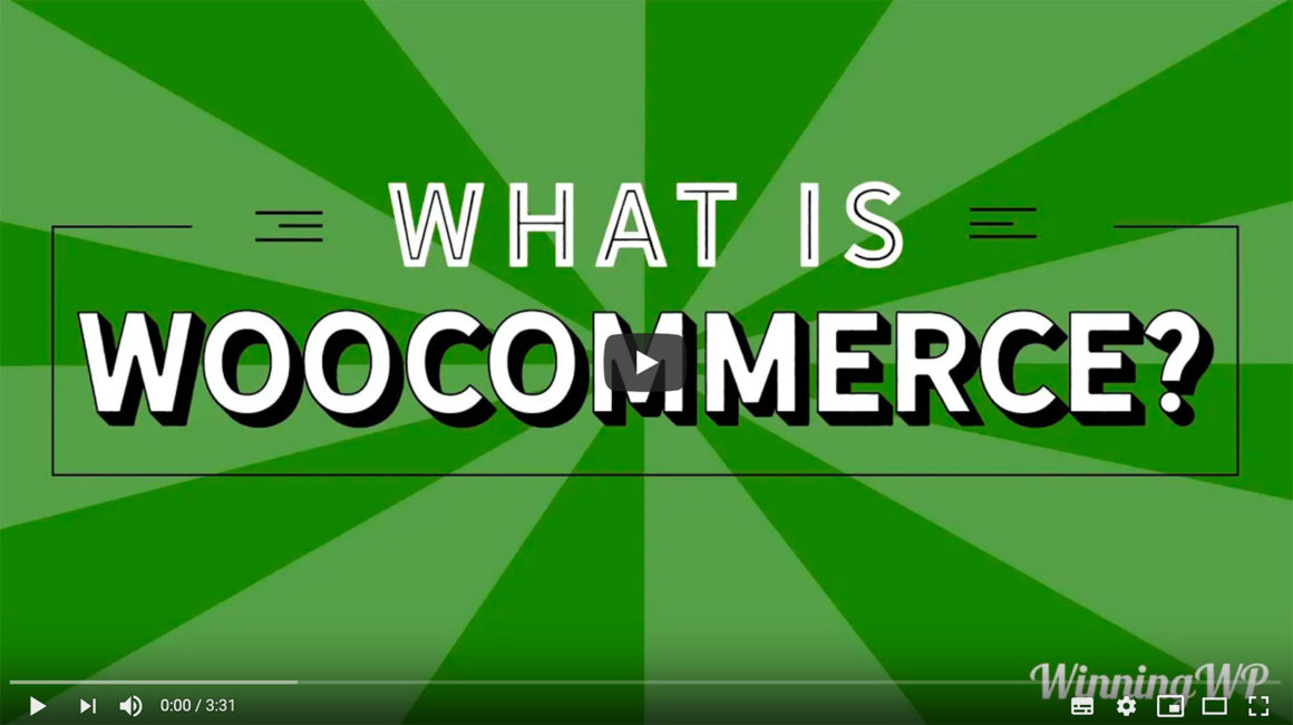 What is WooCommerce? (A Simple Video Explanation)