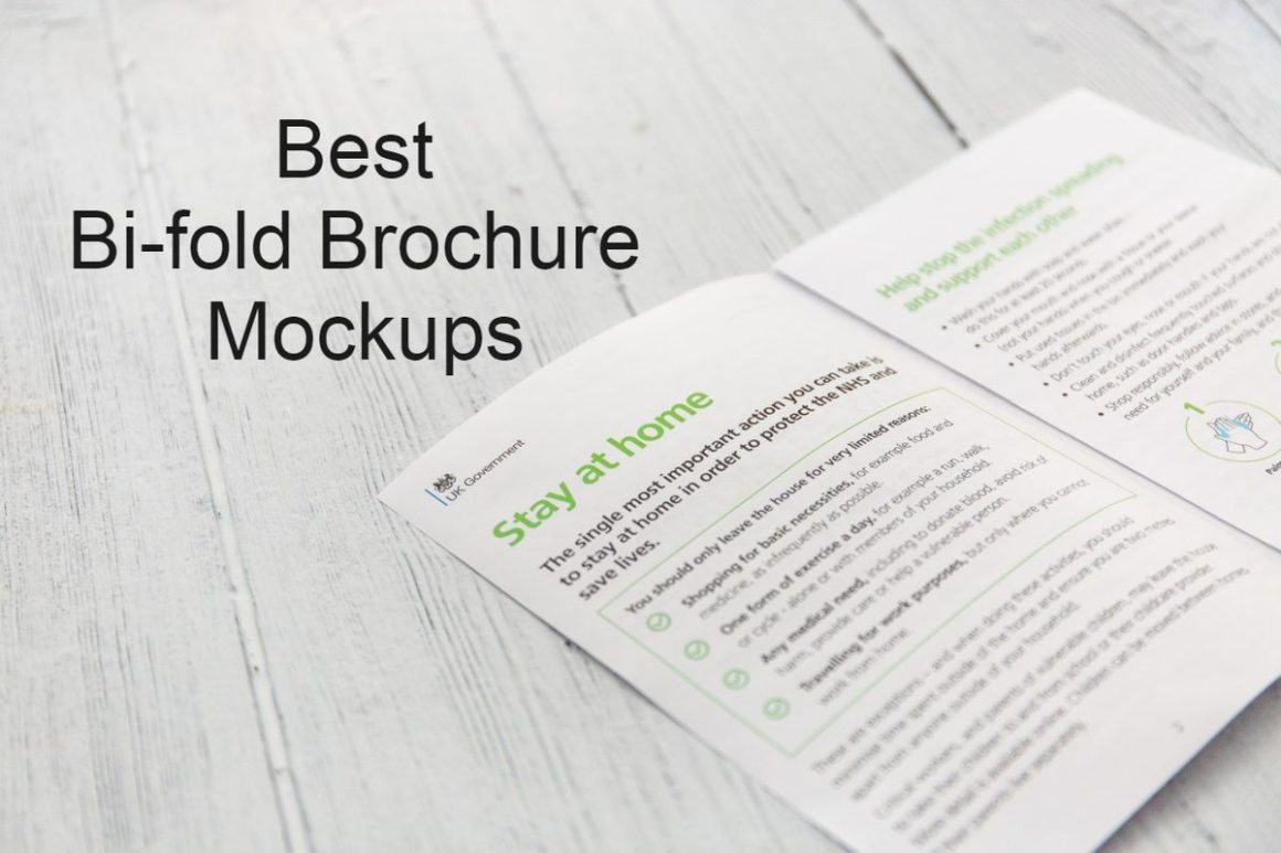 25 Best Bifold Brochure Mockups for Realistic Presentations - Colorlib
