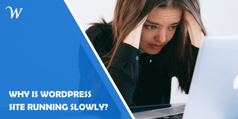 Why WordPress Site is Slow?