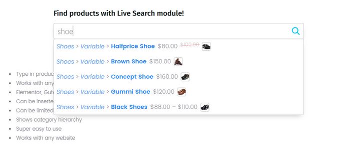 Live Search for WooCommerce Extension - WP Solver