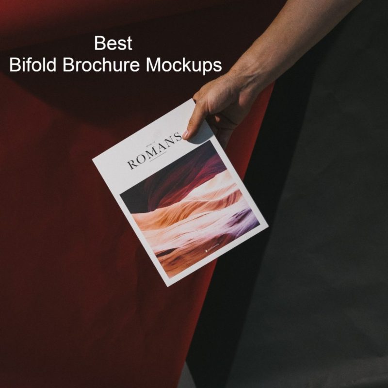 20 Bifold Brochure Mockups & Templates - Colorlib