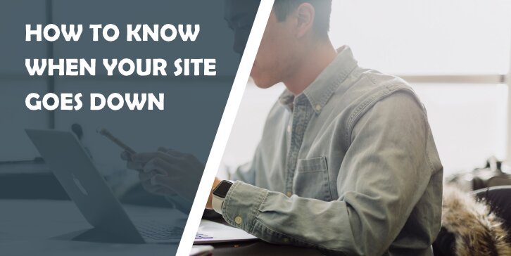 How to Know When Your Site Goes Down and Resolve the Issue in the Fastest Way Possible - WP Pluginsify