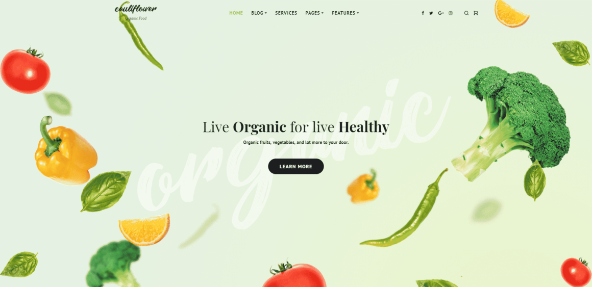 20 Best Organic Food WordPress Themes Collection - Colorlib