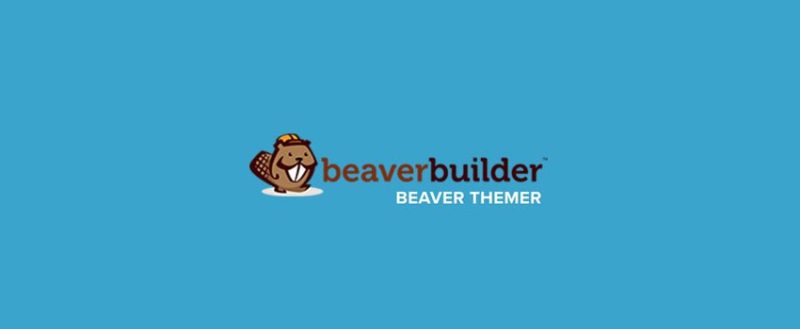 Beaver Themer Review: Is It the Best WordPress Theme Builder? (2021)