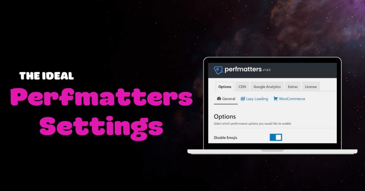 How To Setup Perfmatters Settings (With Script Manager)