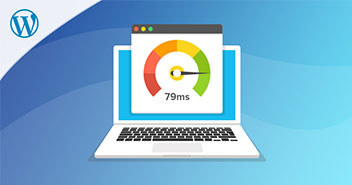 How a Fastest Hosting for WordPress Can Load Website in Just 79ms!