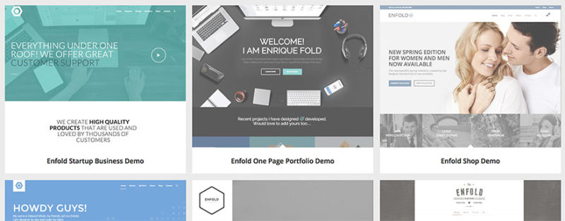 50+ Stunning Examples of the Enfold WordPress Theme in Action (2021)