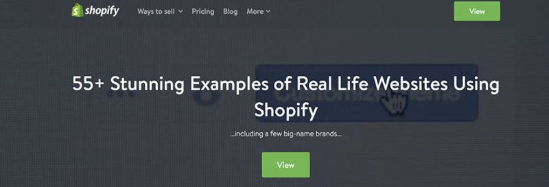 55+ Stunning Examples of Real-Life Stores Using Shopify (2021)
