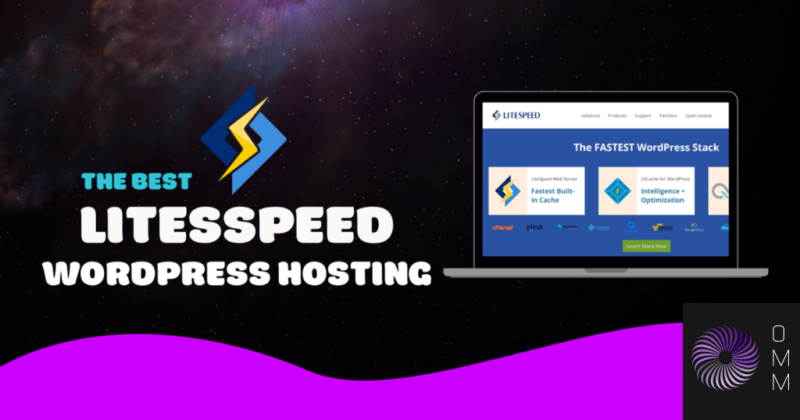 LiteSpeed WordPress Hosting (11 Places You Can Get it)