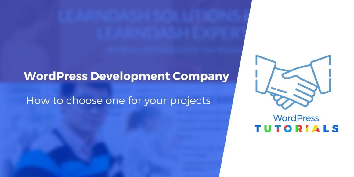 WordPress Development Company: How to Choose One for Your Projects