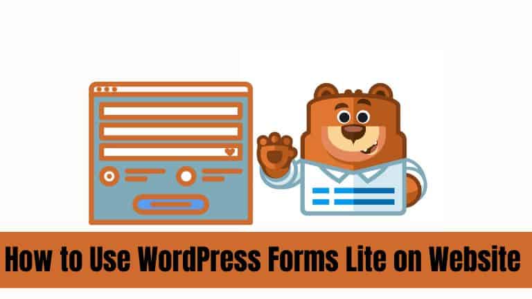 How to Use WordPress Forms Lite on Your Website