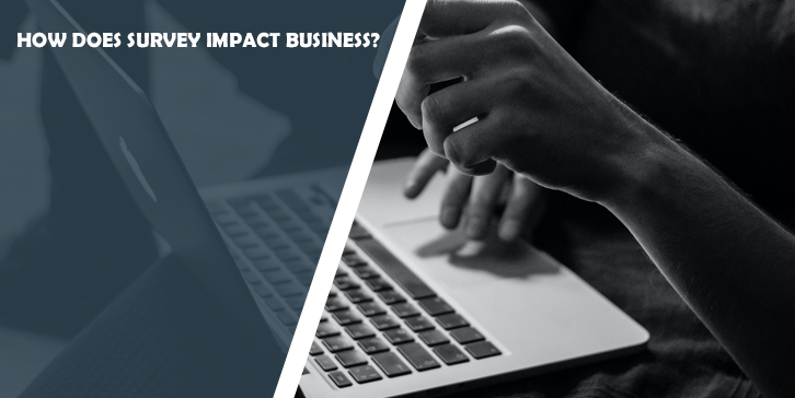 How Does Survey Impact Business?