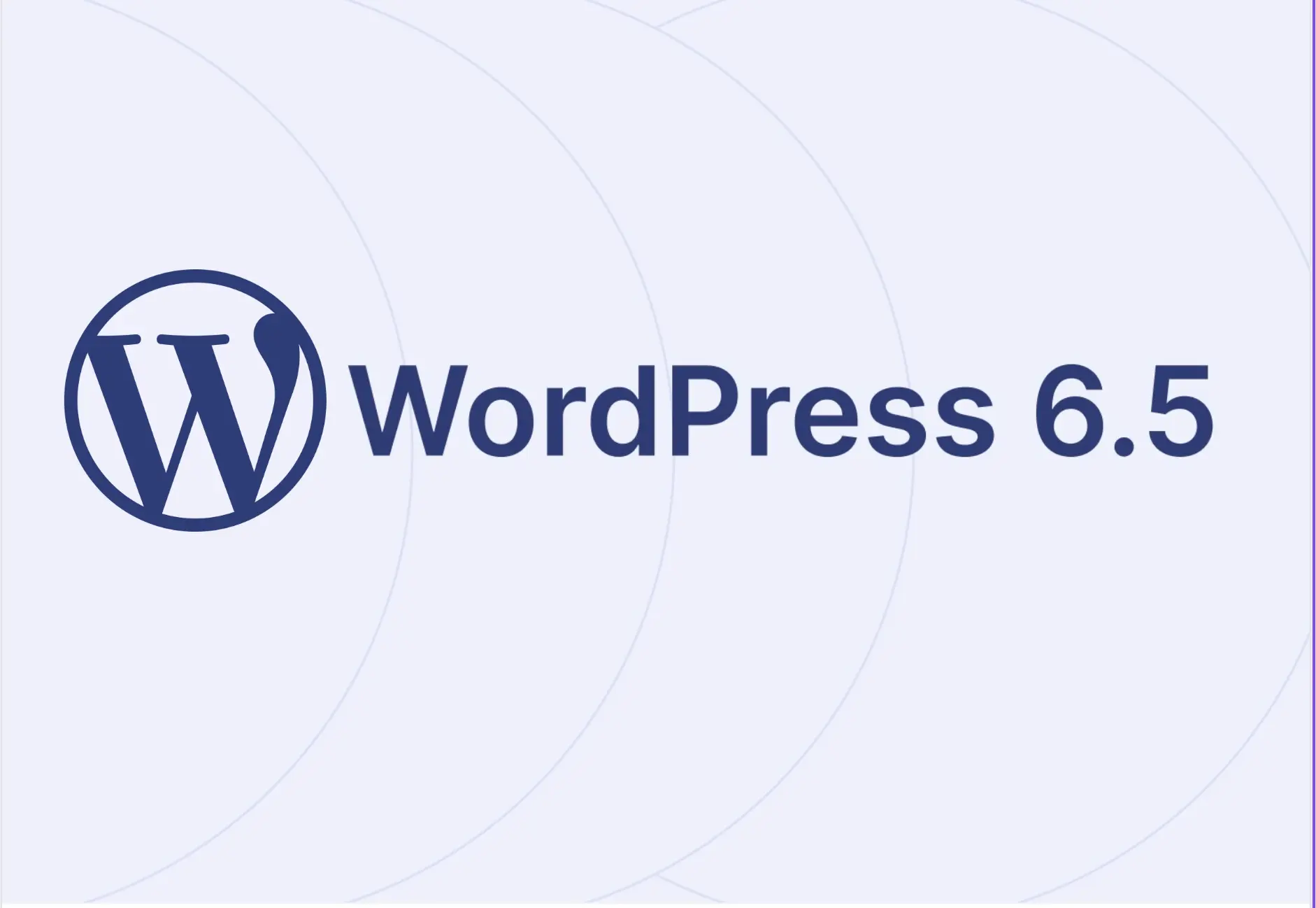 What’s new in WordPress 6.5 - ManageWP