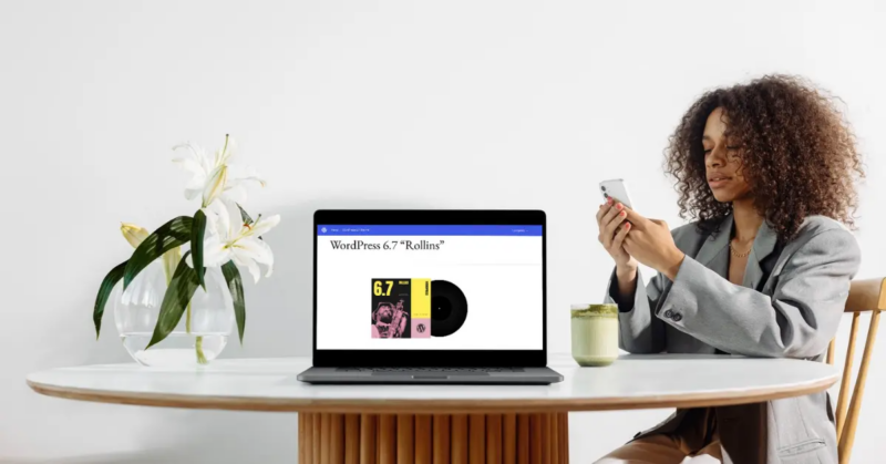 WordPress 6.7: Elevating user experience with enhanced features and performance - ManageWP