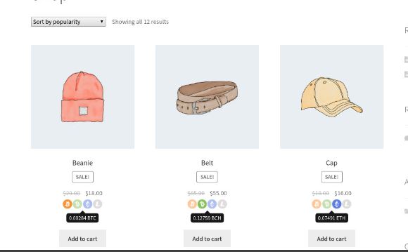 5 Bitcoin Payment WooCommerce Plugins