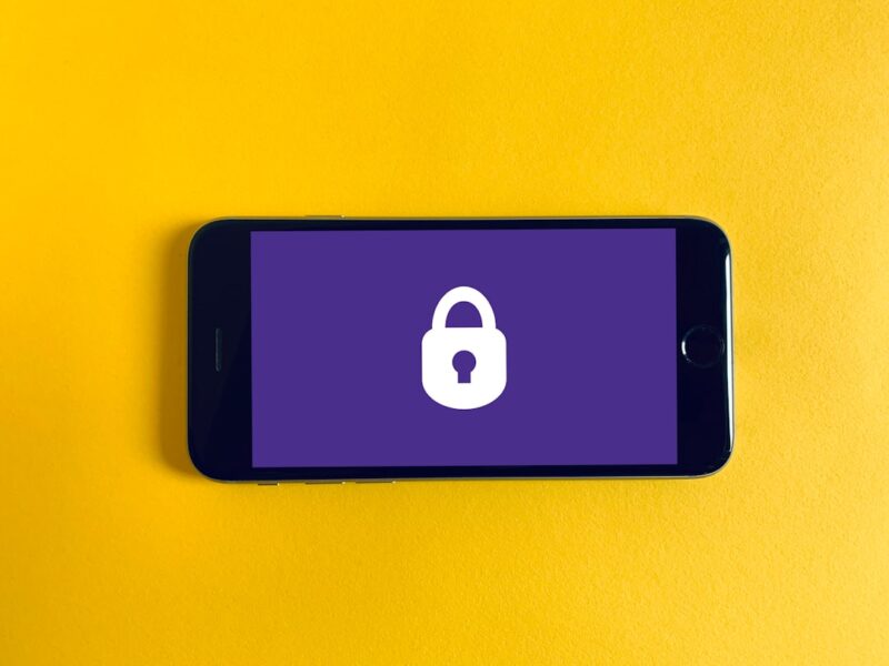 Pellela and the Immaculate Grid Framework for Modern Digital Identity - WP Newsify